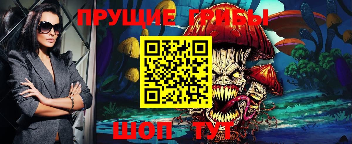 Заволжье  Псилоцибиновые грибы MAGIC MUSHROOMS  Галлюциногенные грибы мухоморы  Вход с VPN 